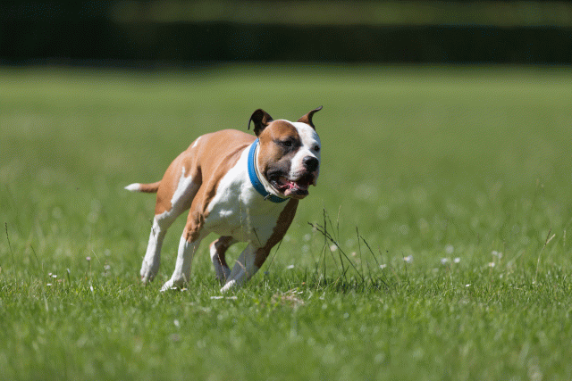 Cs3Q5303 20487156622 O