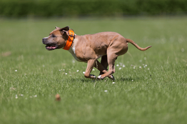 Cs3Q5274 20487179092 O