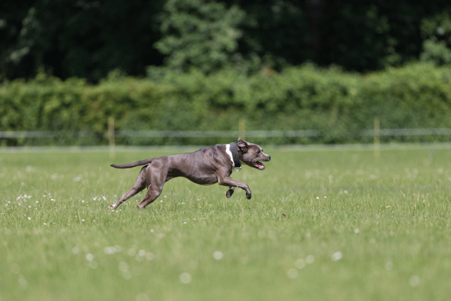 Cs3Q5266 20487189772 O