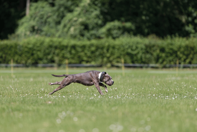 Cs3Q5262 20487191912 O