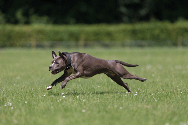 Cs3Q5253 20487201142 O