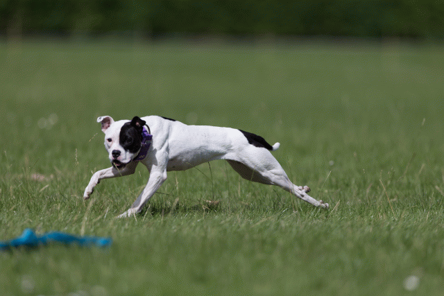 Cs3Q5809 20495505765 O