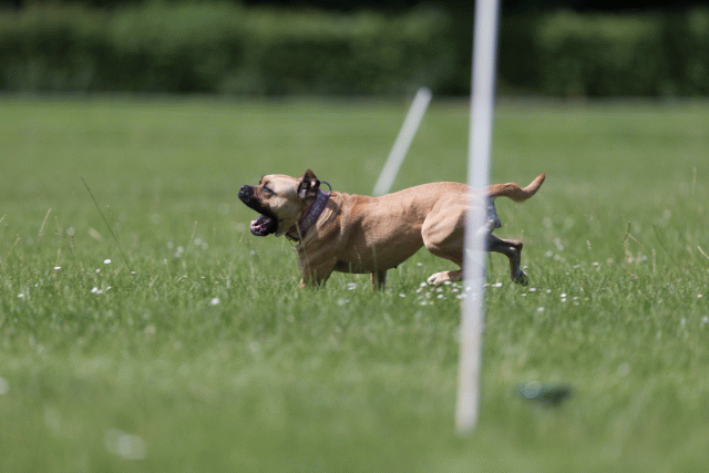 Cs3Q5803 20495511565 O