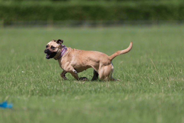 Cs3Q5791 20495524115 O