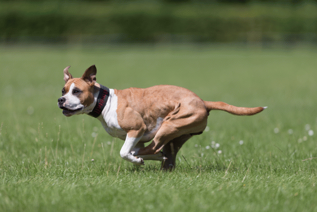 Cs3Q5761 20495551615 O