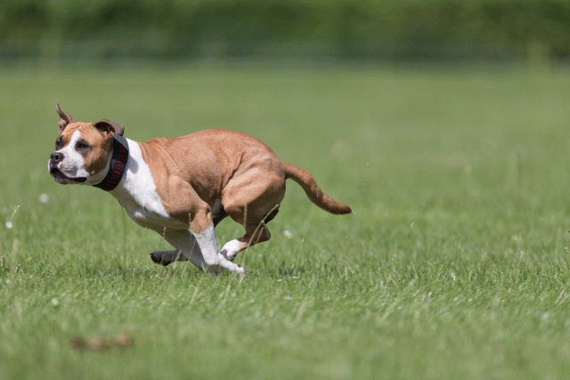 Cs3Q5757 20495556315 O