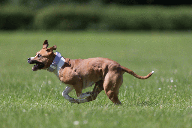 Cs3Q5728 20495576275 O