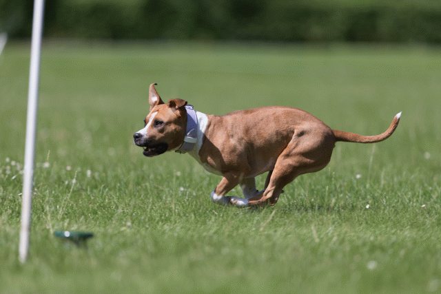 Cs3Q5721 20495584885 O