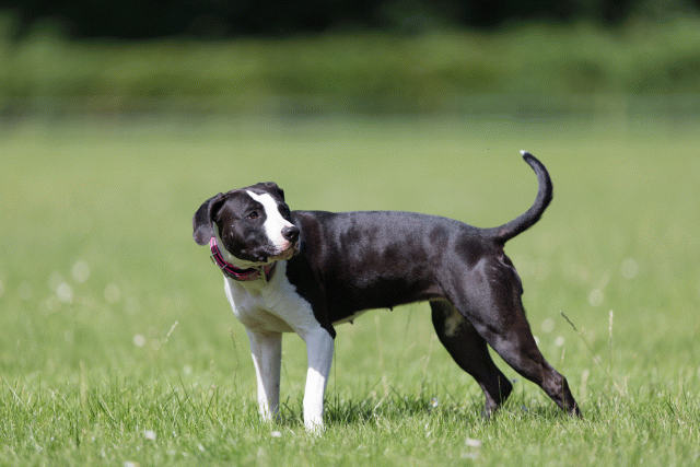 Cs3Q5714 20495591125 O