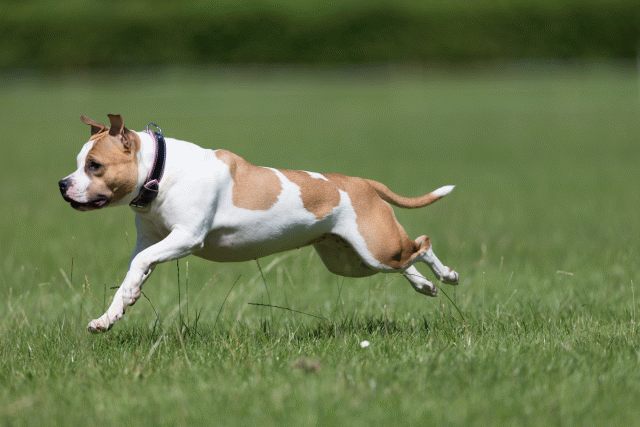 Cs3Q5640 20495651645 O