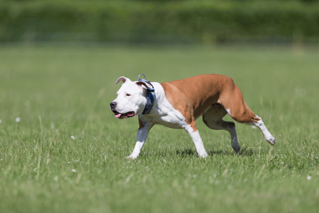 Cs3Q5622 20495665245 O