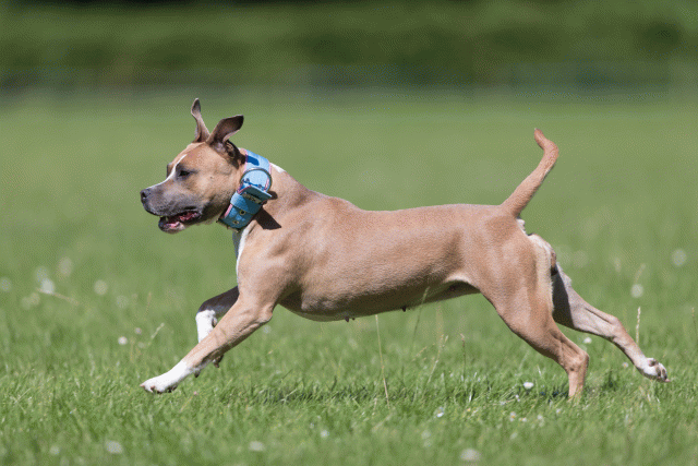 Cs3Q5614 20495674255 O