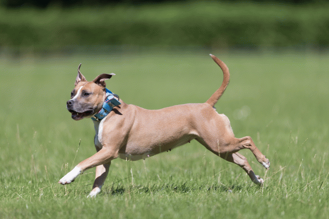 Cs3Q5607 20495683685 O