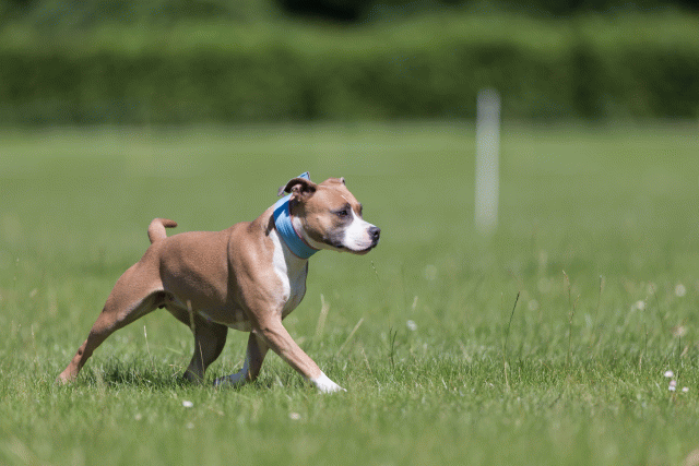 Cs3Q5592 20495694655 O