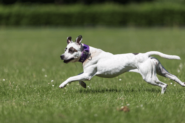 Cs3Q5568 20495715455 O