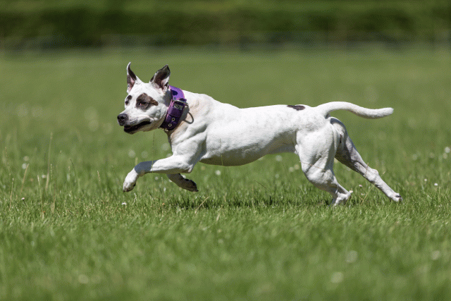 Cs3Q5564 20495721055 O