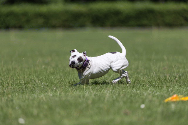 Cs3Q5557 20495730645 O