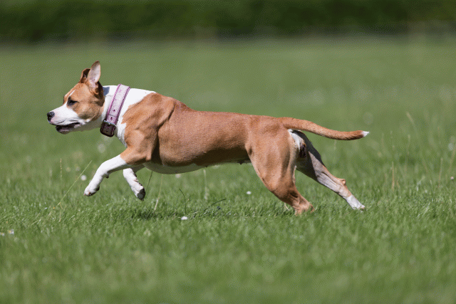 Cs3Q5555 20495733745 O