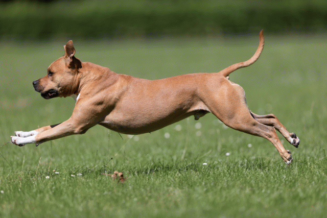 Cs3Q5502 20495783125 O