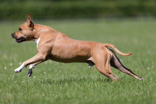 Cs3Q5501 20495785275 O