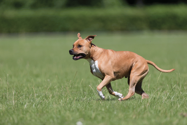 Cs3Q5489 20495797065 O