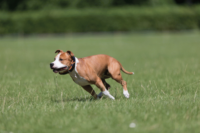 Cs3Q5459 20495824165 O