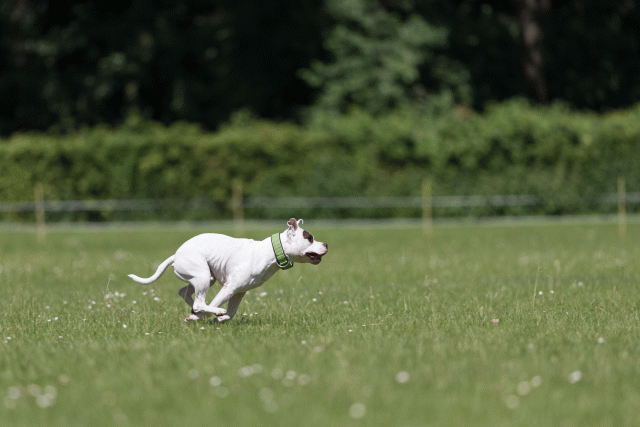 Cs3Q5416 20495858165 O