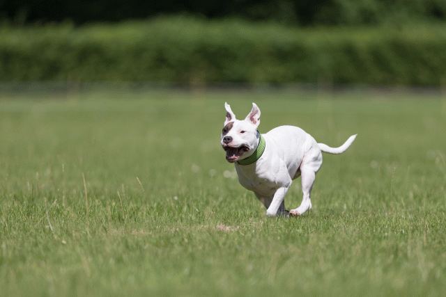 Cs3Q5390 20495885265 O