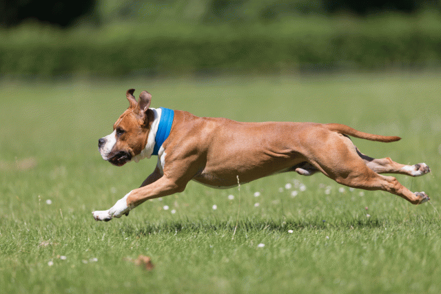 Cs3Q5373 20495894075 O