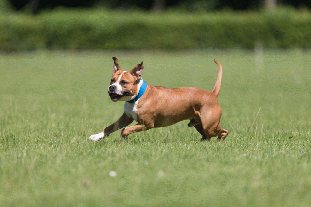 Cs3Q5363 20495907085 O