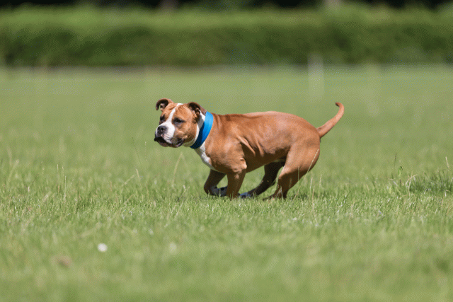 Cs3Q5362 20495908535 O