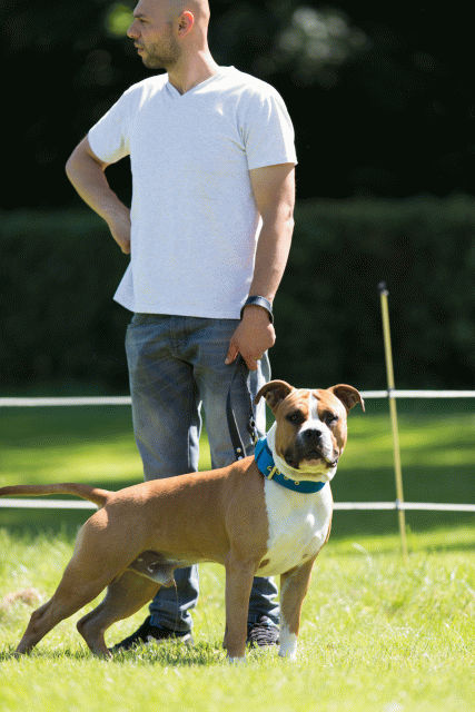 Cs3Q5358 20495910445 O