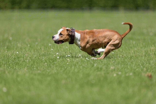 Cs3Q5345 20495922855 O