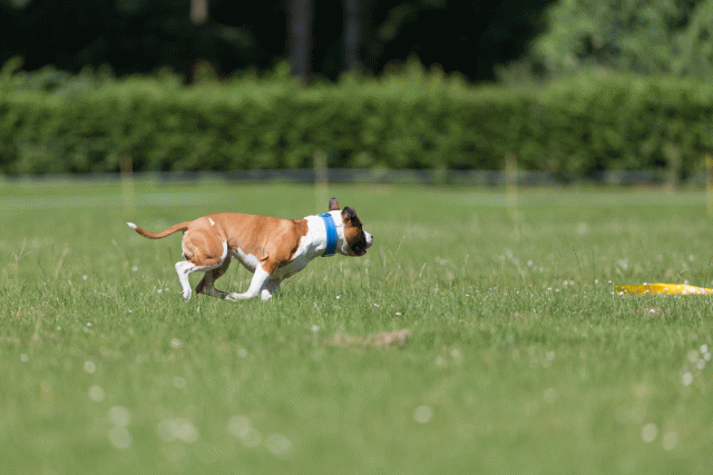 Cs3Q5313 20495950285 O