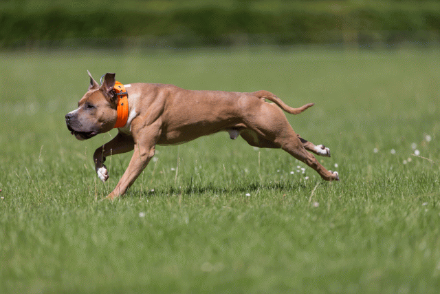 Cs3Q5272 20495986675 O