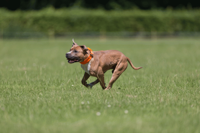 Cs3Q5267 20495993125 O