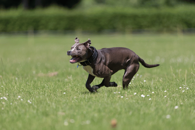 Cs3Q5256 20496002545 O