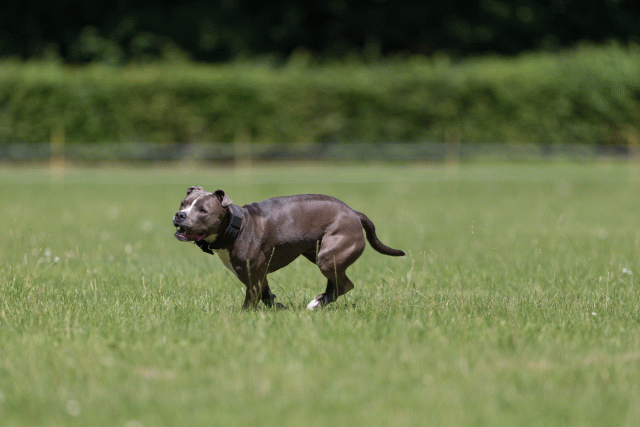 Cs3Q5248 20496009805 O