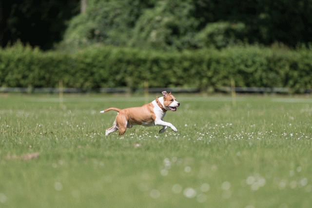 Cs3Q5241 20496015295 O