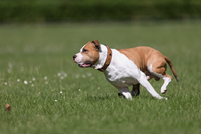 Cs3Q5234 20496018395 O