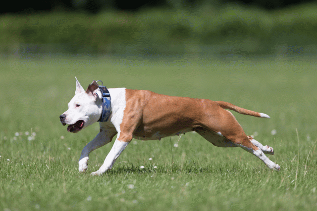 Cs3Q5625 20501765711 O