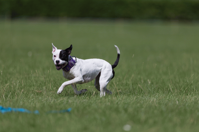 Cs3Q5808 20501799871 O