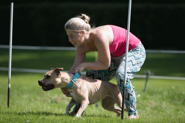 Cs3Q5774 20501835541 O