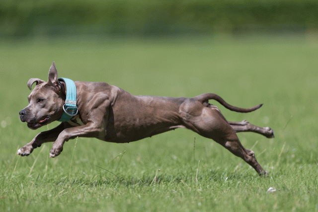 Cs3Q5772 20501836841 O