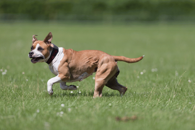 Cs3Q5758 20501849821 O