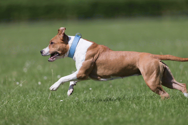 Cs3Q5747 20501860221 O