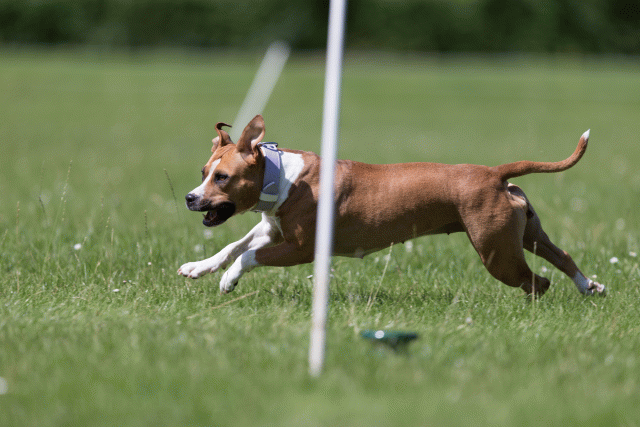 Cs3Q5722 20501878631 O