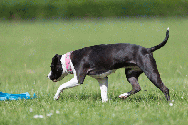 Cs3Q5713 20501887111 O