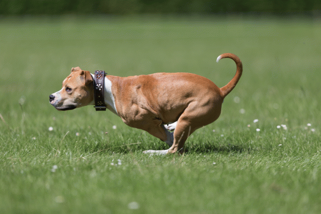 Cs3Q5704 20501896451 O