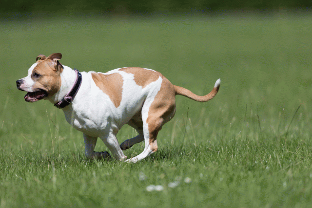 Cs3Q5645 20501938841 O